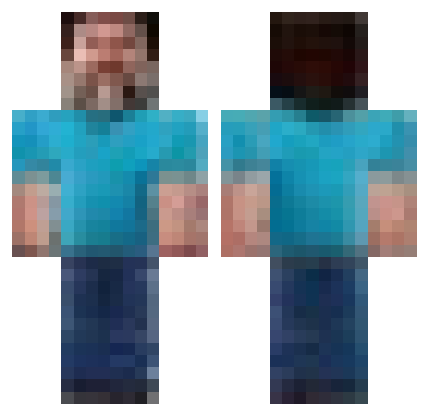 The_Sting_Thing Minecraft skin, front and back view