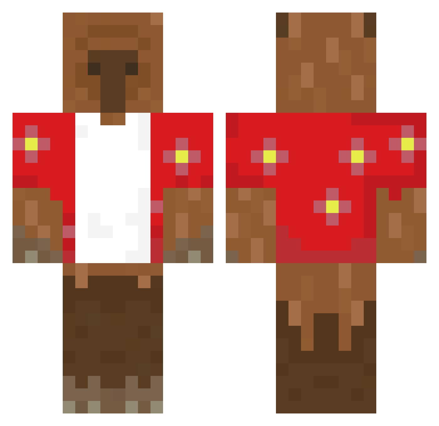 pityroid Minecraft skin, front and back view