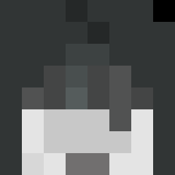 DA_RaCCooN_