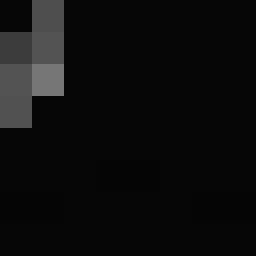 XX_Zachod_XX
