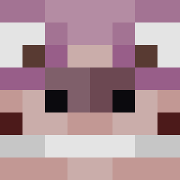 Coolspiderpig01