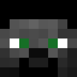 Plshy333