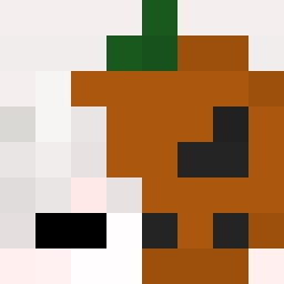 PotroMC