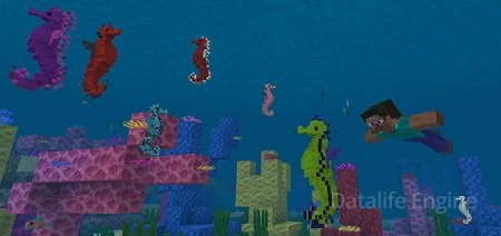 Hippocampus (Seahorse) Resource Pack