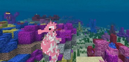 Hippocampus (Seahorse) Resource Pack | Texture Packs Minecraft PE