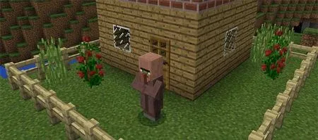 Villager Agent Add-on