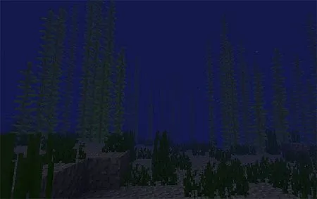 Deluxe Water Pack