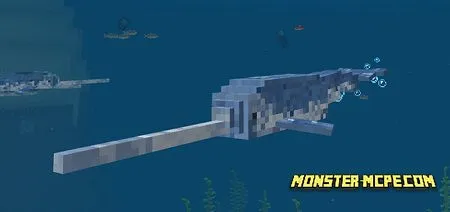 Narwhal Addon 1.6