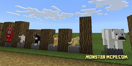 The Texture Review Map