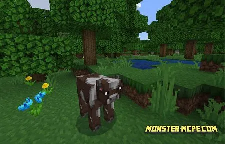 Haven Texture Pack