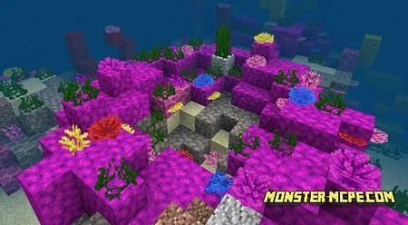 Coral Reef, Shipwreck & Buried Treasure Seed: 1848996952