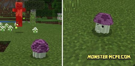 Plants Vs Zombie Bedrock Add-on Minecraft Mod