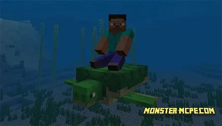 Turtle Plus Add-on