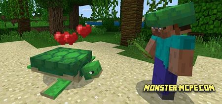 Turtle Plus Add-on