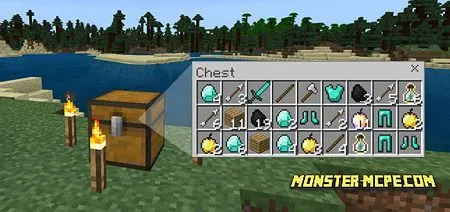 Pro Starter Pack Addon