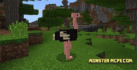 Ostrich Add-on (Biome Chooser Concept)  Minecraft PE 