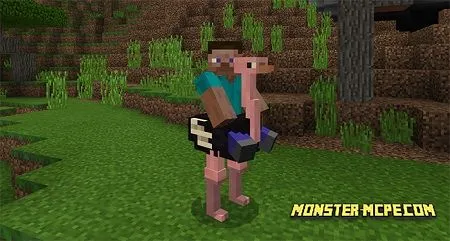 Ostrich Add-on (Biome Chooser Concept)