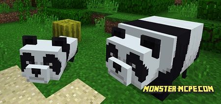 Panda Bear Add-on (Minecon 2018 Concept!)