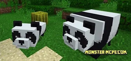 Panda Bear Add-on (Minecon 2018 Concept!)