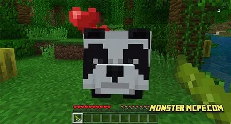 Panda Bear Add-on (Minecon 2018 Concept!)