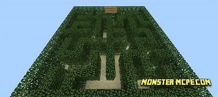 SG Infinite Mazes (Minigame)
