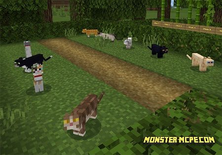 Holiday Update “1.8” Features Review Map (1.8 Only) (Creation)