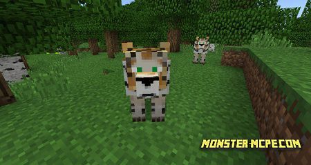 Tigers Add On 1 8 Minecraft Pe Addons Mod