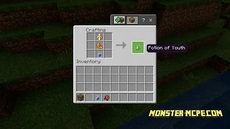 Potions of Youth Addon 1.13/1.12+