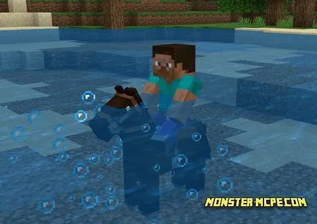 No More Water Dismounts 1.13/1.12+