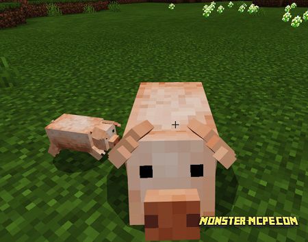 minecraft pig texture pack