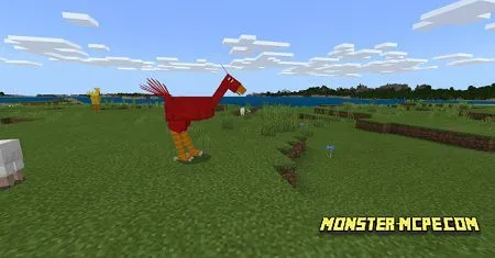 Chocobo Expansion 1.14/1.13+