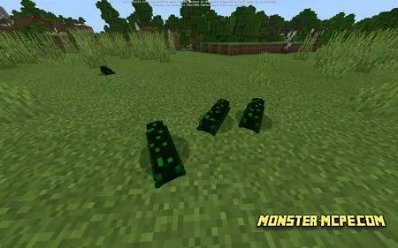 Insects Addon 1.14/1.13+
