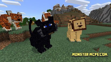 Big Cats Addon 1 14 1 13 Minecraft Bedrock Addons Mod