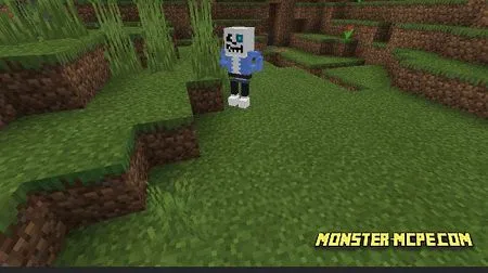 Sans Addon 1.14+