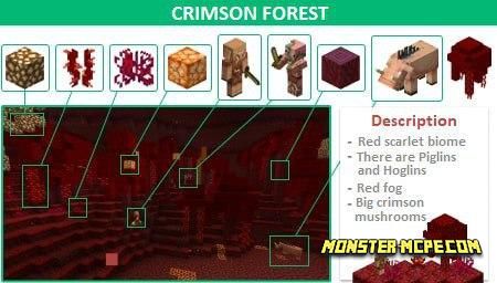 Download Minecraft PE 1.16.0 apk free: Nether Update