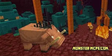 Nether Update will be released in the summer