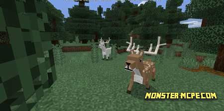 World Animals Add On 1 16 1 15 Minecraft Pe Addons Mods