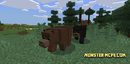 World Animals Add-on /+ | Minecraft PE Addons & Mods