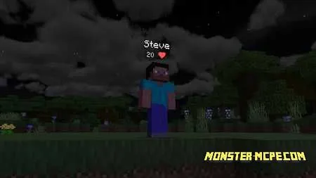 Health Bar Add-on 1.16/1.15+
