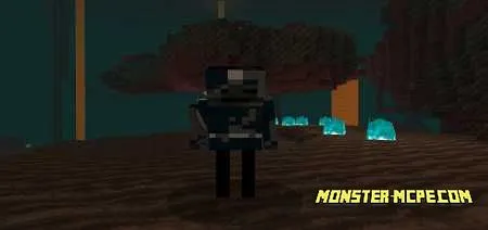 Wither Skeleton Knight Add-on 1.16/1.15+