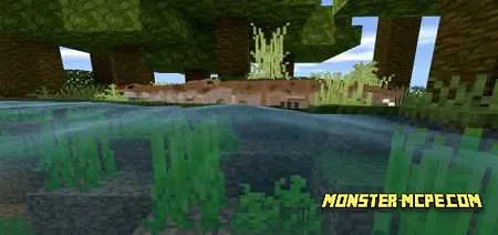 Amazonian Wonders Add-on 1.16/1.15+