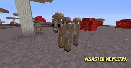 Brown Cow