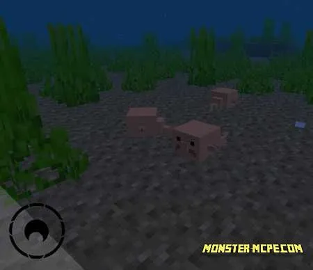 Blobfish