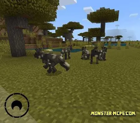 African dogs
