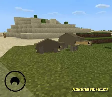 big turtle