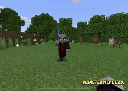 The Wandering Illager Add-on (3)