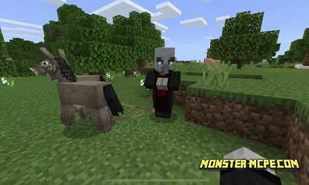 The Wandering Illager Add-on (1)