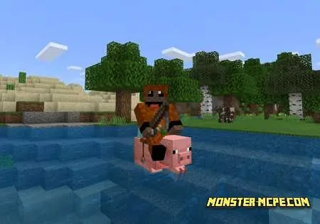 No More Water Dismounts Add-on (2)