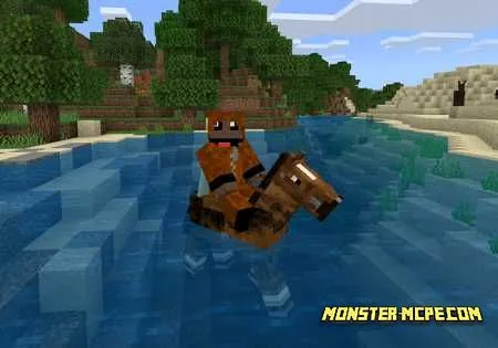 No More Water Dismounts Add-on (1)