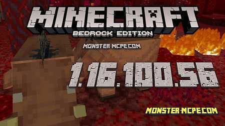 Download Minecraft 1.16.100 Nether Update apk free: Full Version